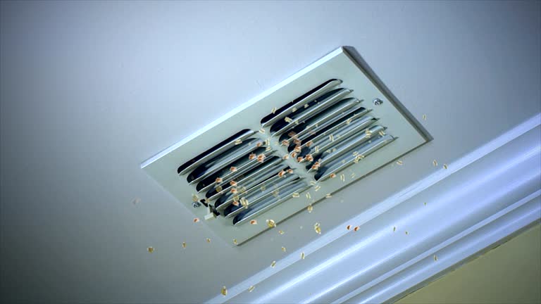 Best Air Duct Cleaning Near Me in Three Rivers, CA