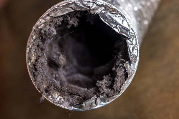 Best Air Duct Cleaning Cost  in Three Rivers, CA